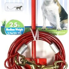 045663903008 2 19933e34 1ca1 4fb5 9b95 bdaaf2042c50.jpg