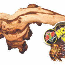 097612200911 2 384f313b 35d2 450c ab3b 38ac618bffbd.jpg