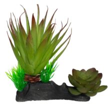 784369933123 2 32b87d52 796c 45ff 910e 262c97148738.jpg