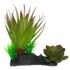 Komodo Succulent Plant 1ea/One Size