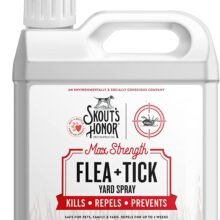 810053870433 2 73b176a4 166a 425c 8fad 914b610ac304.jpg