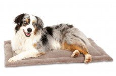 029695265969 2 838206b6 c4e4 44fc 89fa 6ea5fc65ae3d.jpg