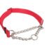 Check-Choke Adjustable Check Training Dog Collar Red 1ea/3/4 In X 14-20 in