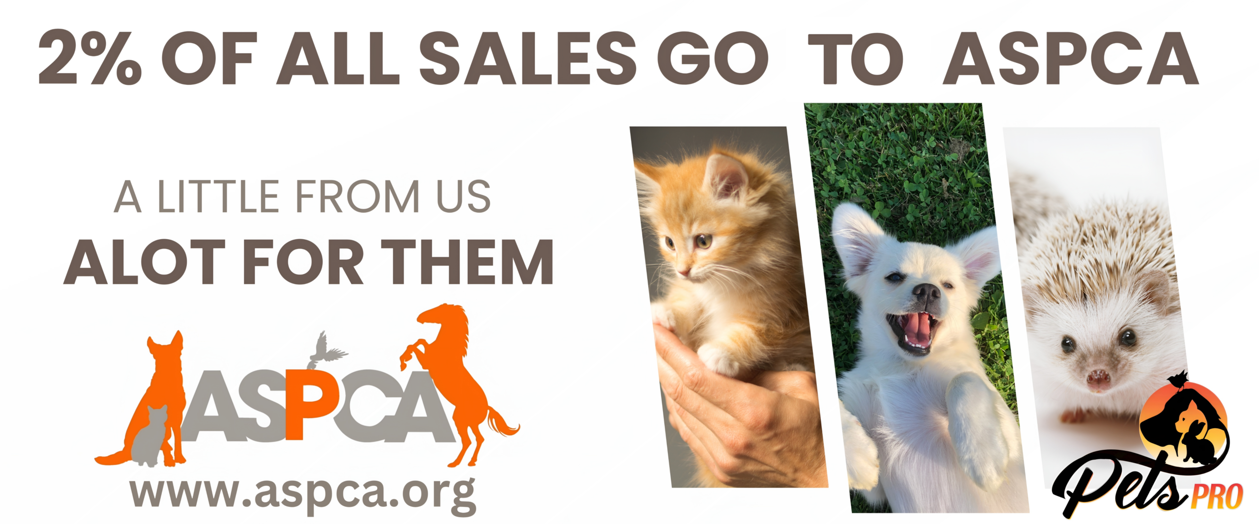 Picsart_25-12-11_13-31-59-981