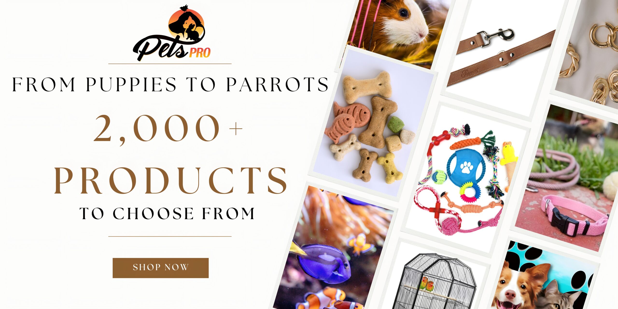 {"remix_data":[],"remix_entry_point":"challenges","source_tags":["local"],"origin":"unknown","total_draw_time":0,"total_draw_actions":0,"layers_used":0,"brushes_used":0,"photos_added":0,"total_editor_actions":{},"tools_used":{"ai_enhance":1},"is_sticker":false,"edited_since_last_sticker_save":true,"containsFTESticker":false}