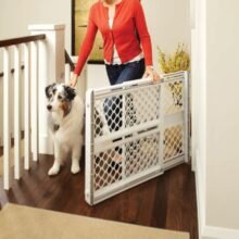 026107086259 2 scaled 2.jpg