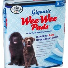 045663016623 2 64719293 56b3 4f01 a1b4 e4a592d24b72.jpg