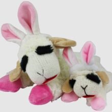 784369484212 2 60bb9612 1df3 43d5 a540 0dda3d9a0cbc 1.jpg