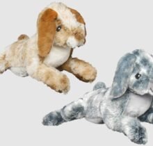 784369583885 2 18762207 c7f1 4081 8214 5b71f49a5821 scaled 1.jpg