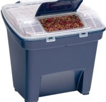 879213007188 2 bfa4f45c 0688 4b43 9aa1 7972781d022b.jpg